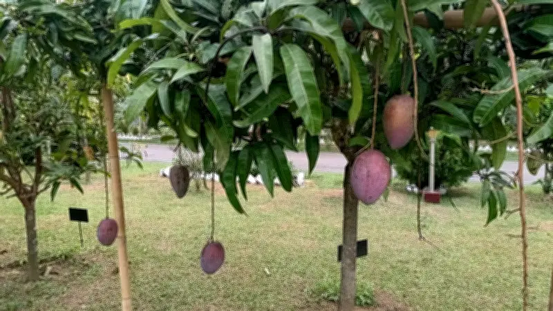 ঈদে পাহাড়ের কোলে পরিবারের ২০ জনের অনন্য ভ্রমণগল্প