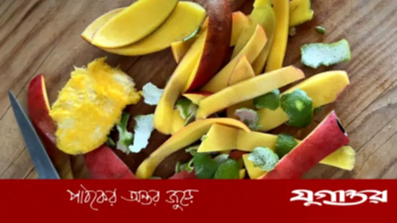 আমের খোসা ফেলে না দিয়ে ঘরোয়া কাজে ব্যবহার করুন