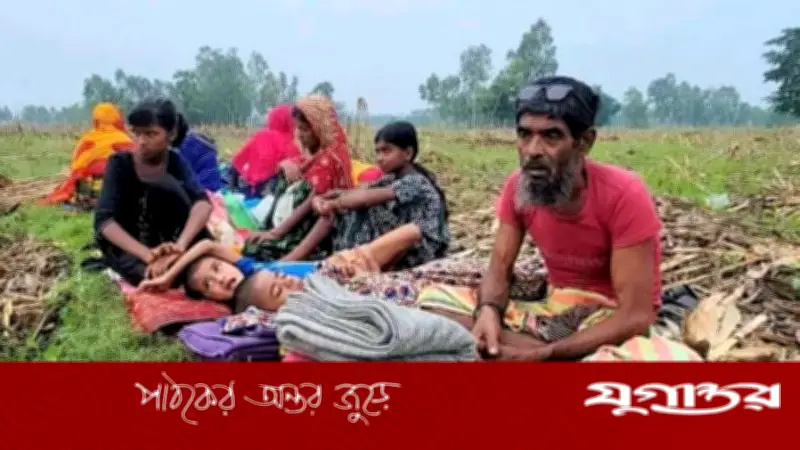 সীমান্ত শূন্যরেখা থেকে ১১ জনকে ফিরিয়ে নিল বিএসএফ