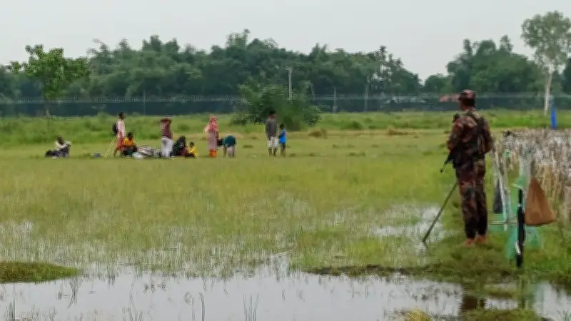 পঞ্চগড়ে বিএসএফের পুশ ইন চেষ্টা, ৬৯ ঘণ্টা পর সরানো হলো ১০ জনকে