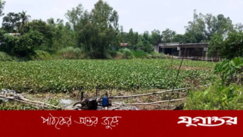 মির্জাপুরে অবৈধ বালু উত্তোলন, ছাত্রলীগ নেতার বিরুদ্ধে অভিযোগ