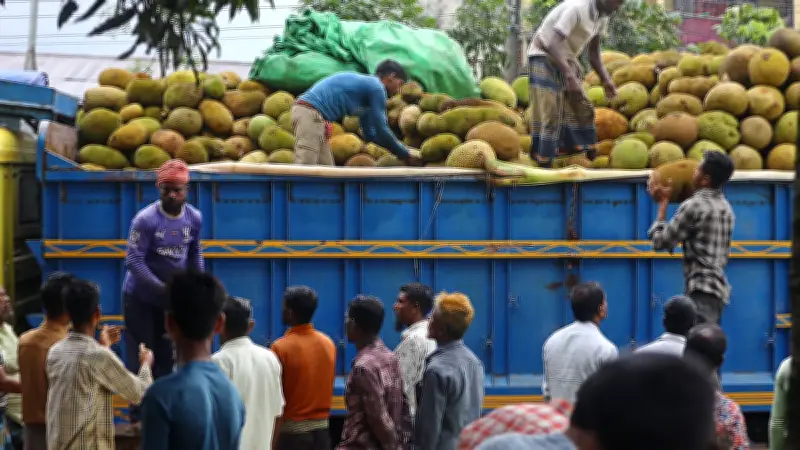 কাঁঠালের বাজারে ক্রেতা-বিক্রেতাদের ব্যস্ততা