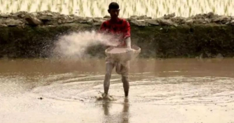 ১০ হাজার কোটি টাকার কৃষি পুনঃঅর্থায়ন তহবিল গঠন