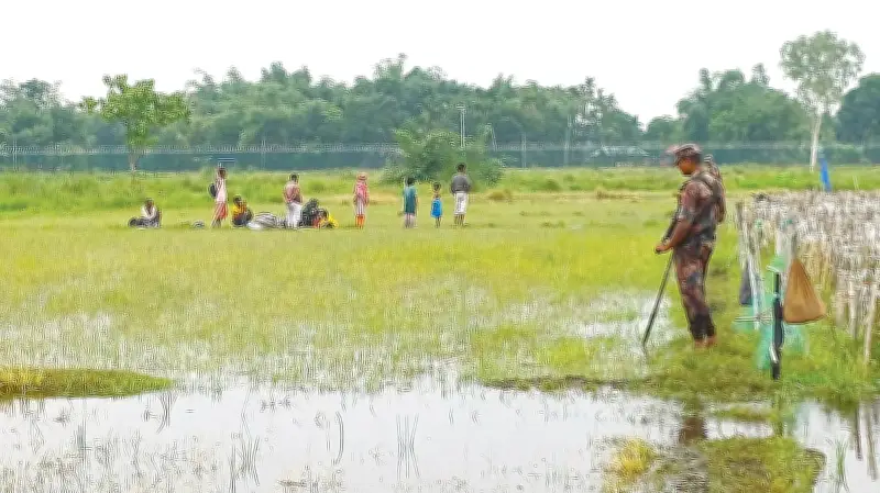 নতুন সরকারের ওপর পুশ ইনের সুনামি: সীমান্তে মানবিক বিপর্যয়