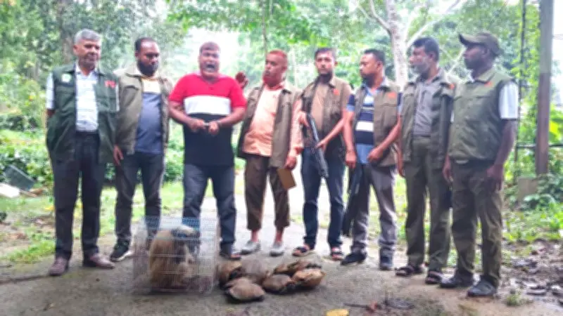 পাচারকালে হনুমান ও ১২ কচ্ছপ উদ্ধার, এক ব্যক্তি আটক