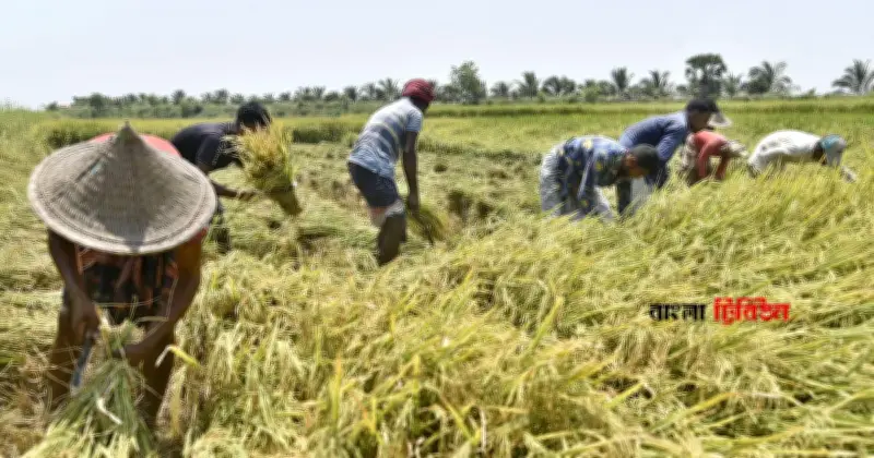 কৃষি খাত চাঙাতে ১০ হাজার কোটি টাকার তহবিল গঠনের ঘোষণা অর্থমন্ত্রীর