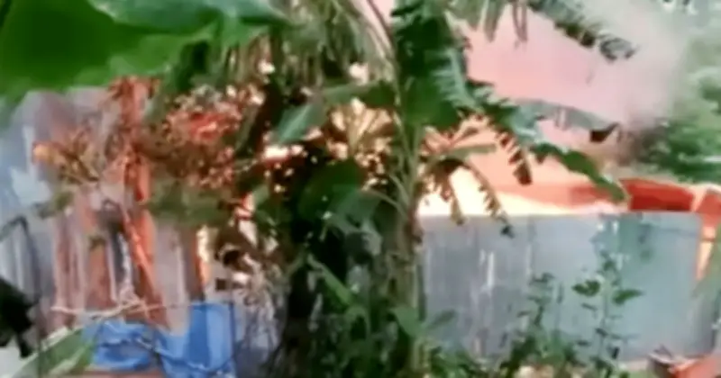 পাবনায় কিশোরী ধর্ষণ-হত্যার প্রতিবাদে বাড়িতে আগুন দিতে গিয়ে তিনজনের মৃত্যু