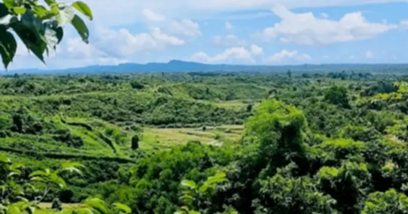 বান্দরবানে ভূমিমাইনে রোহিঙ্গা যুবক নিহত