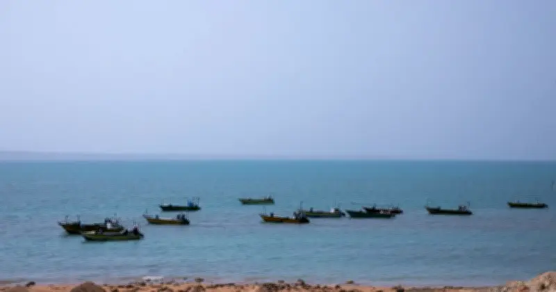 ইরানে মার্কিন হামলা: অ্যাপাচি হেলিকপ্টার ভূপাতিতের জেরে পাল্টা আক্রমণ