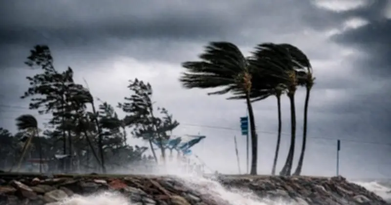 দেশের আট বিভাগেই বৃষ্টির পূর্বাভাস, ভারি বর্ষণের সম্ভাবনা