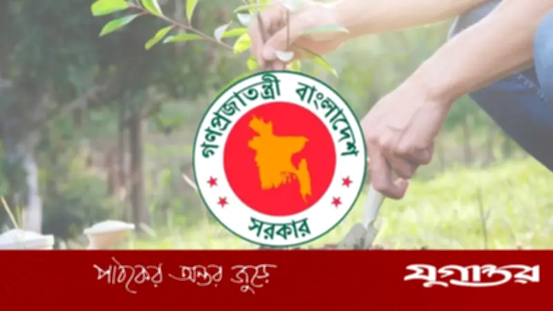 ২৫ কোটি গাছ রোপণ: বছরে ১ বিলিয়ন ডলার আয়ের সম্ভাবনা বাংলাদেশের