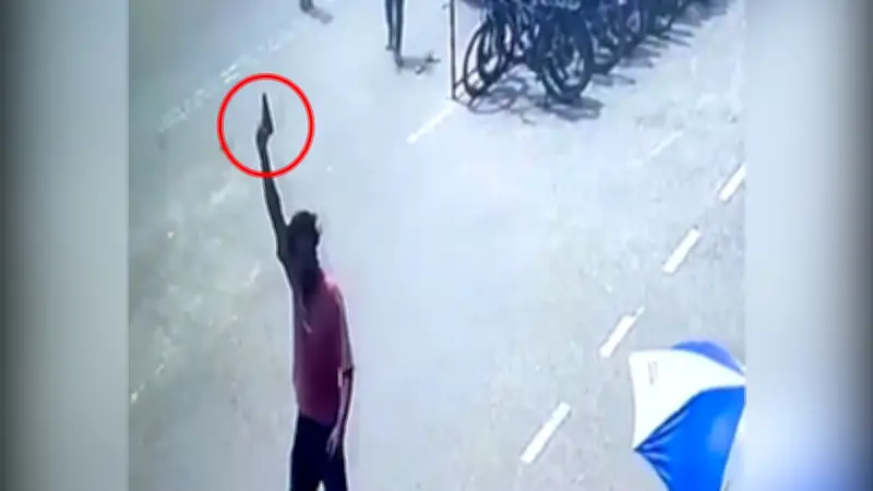 বাংলাদেশের প্রথম সোলার পার্ক উদ্বোধন: ৫০ মেগাওয়াট বিদ্যুৎ উৎপাদন শুরু
