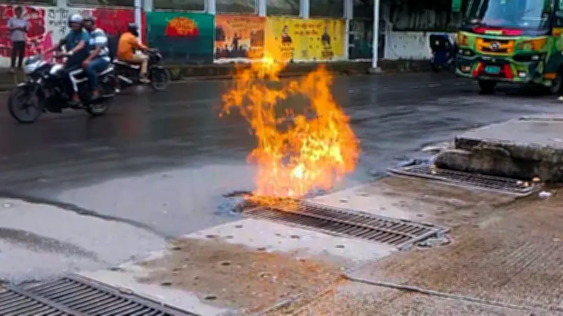বাংলাদেশের নতুন শিক্ষাক্রম চালু: প্রাথমিক ও মাধ্যমিকে পরিবর্তন