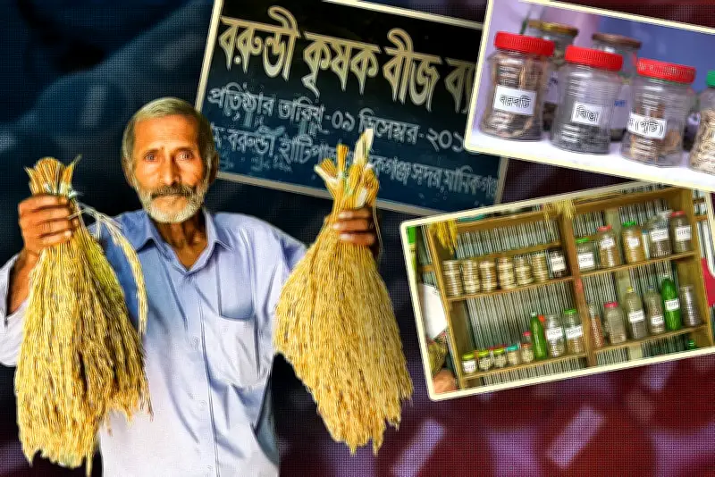 বাংলাদেশের নতুন শিক্ষানীতি ২০২৫: প্রাথমিক ও মাধ্যমিকে পরিবর্তন
