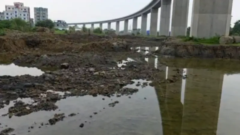 বাংলাদেশের ভিডিওতে গুরুত্বপূর্ণ আলোচনা