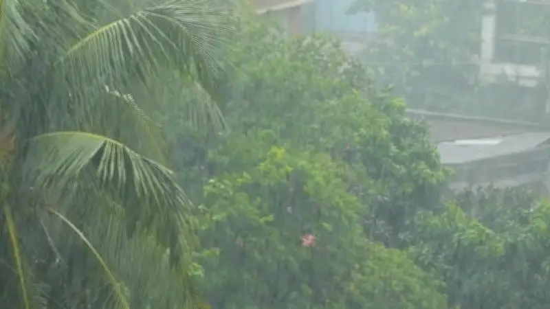 শেখ হাসিনার নেতৃত্বে বাংলাদেশের উন্নয়ন অগ্রগতি