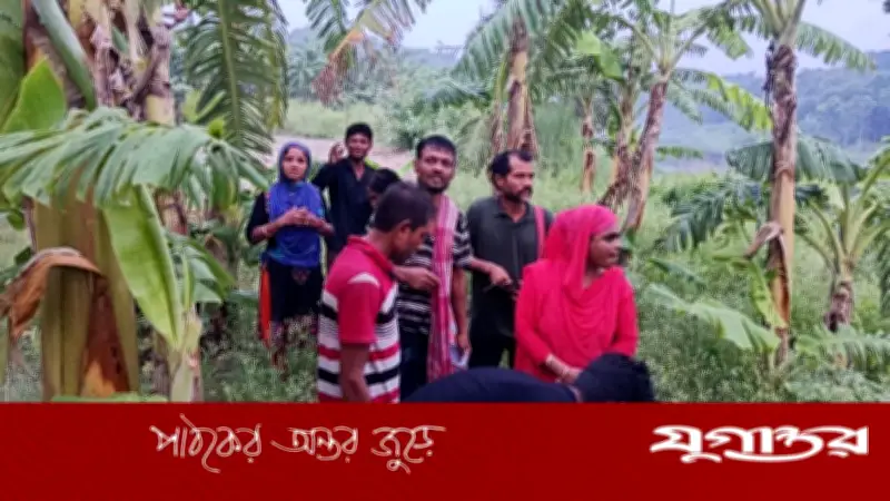 দর্শনা সীমান্তে ১১ জনকে পুশইনের চেষ্টা ব্যর্থ করেছে বিজিবি