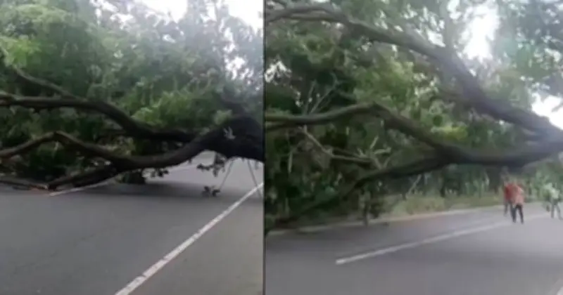 চট্টগ্রাম-৪ আসনে বিএনপির প্রার্থীর প্রার্থিতা বাতিলের প্রতিবাদে মহাসড়ক অবরোধ