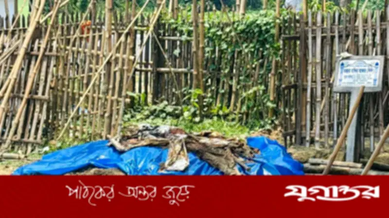 কুষ্টিয়ায় কবর থেকে গৃহবধূর লাশ উত্তোলন, স্বামী পলাতক