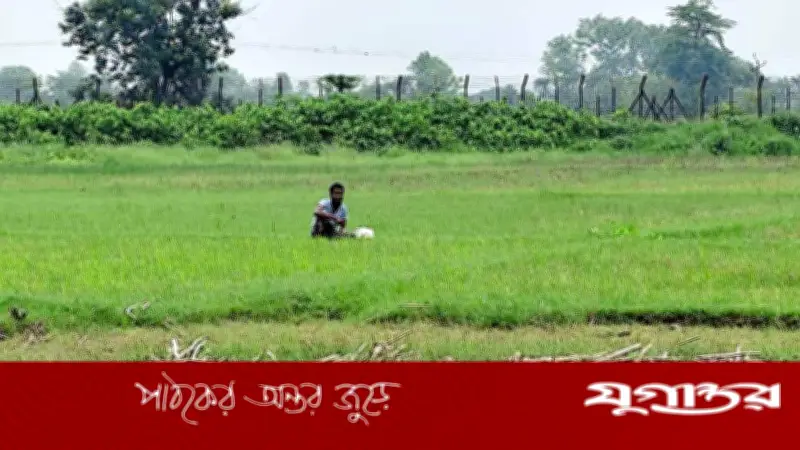 জামালপুর সীমান্তে বিএসএফের পুশইন চেষ্টা ব্যর্থ, শূন্যরেখায় যুবক
