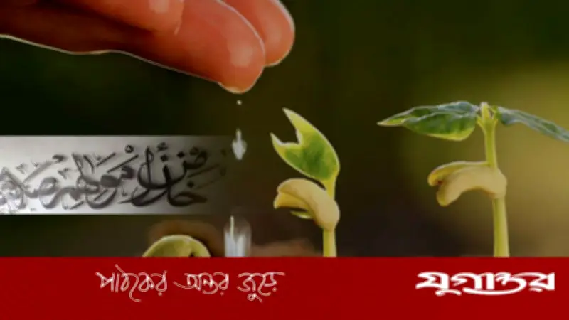 জাকাত বকেয়া রেখে দান-সাদকা করা যাবে কি? ইসলাম কী বলে