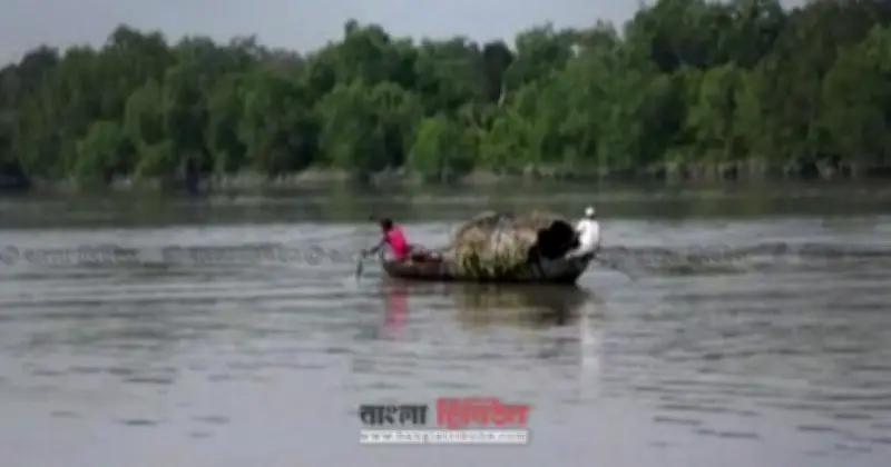 কুমিরের আক্রমণে নারী জেলে নিহত