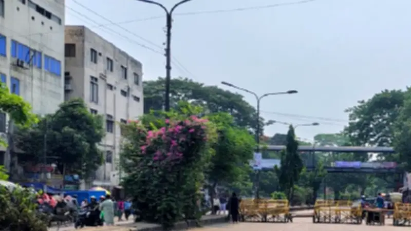 রাজধানীতে ডেঙ্গু আক্রান্তের সংখ্যা বেড়ে ২৫০০, মৃত্যু ২