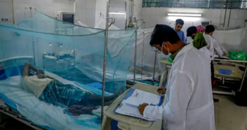 ডেঙ্গু সংক্রমণ বেড়েছে, ২৪ ঘণ্টায় ২ মৃত্যু, নতুন শনাক্ত ১৫৭