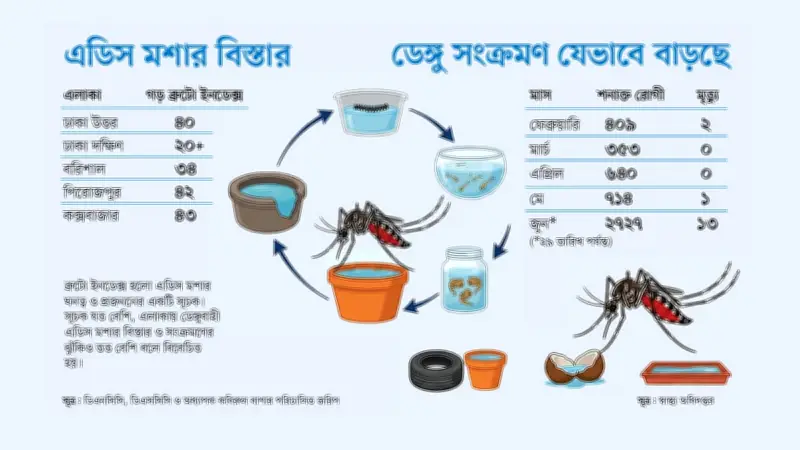 বর্ষার শুরুতেই ডেঙ্গুর প্রকোপ বাড়ার শঙ্কা, ঢাকার বাইরেও আতঙ্ক