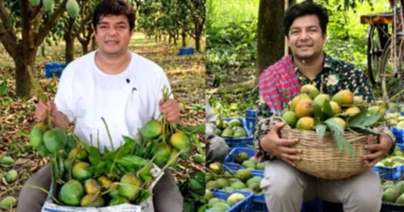 গাছপাকা আম চেনার সহজ উপায়: ত্বক, গন্ধ ও স্বাদে চিনুন