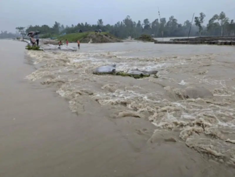 কুড়িগ্রামে দুধকুমার নদের বাঁধ ভেঙে পানি লোকালয়ে, ২০ গ্রাম প্লাবিত