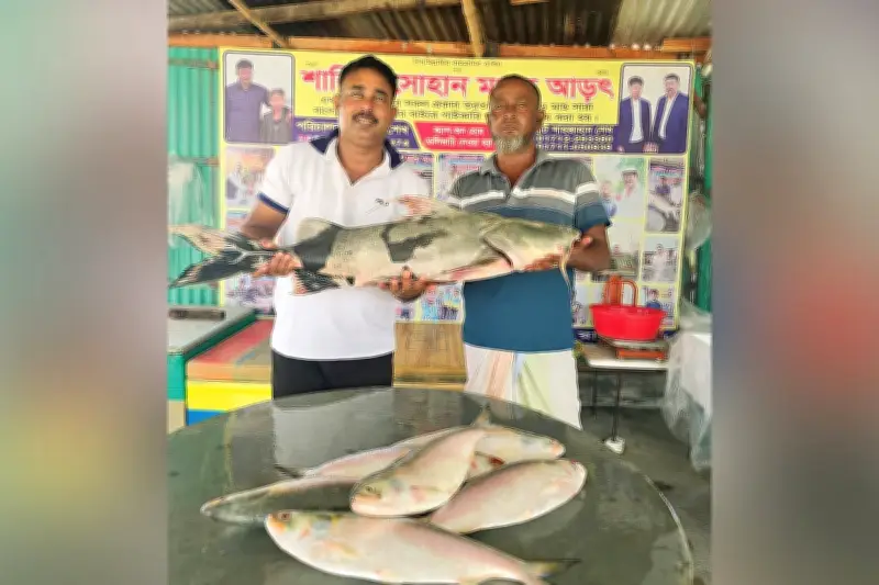 পদ্মায় জেলের জালে মহাবিপন্ন বাগাড়, ৩৮ হাজার টাকায় বিক্রি ইতালিপ্রবাসীর কাছে