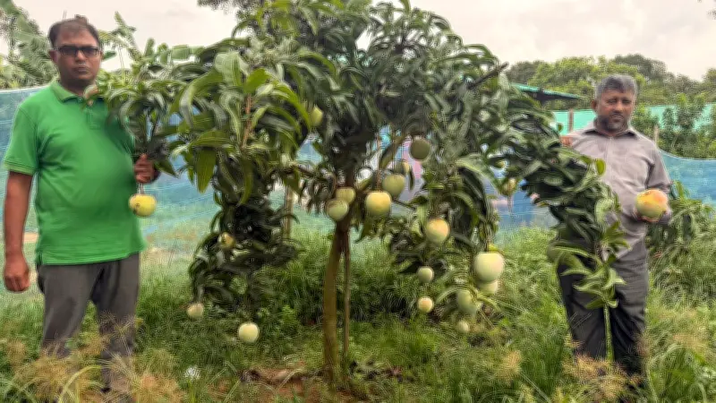 পরিত্যক্ত জমিতে ৩২ জাতের আমবাগান গড়ে সাফল্য ফরিদুলের
