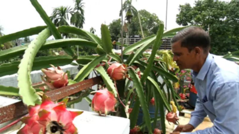 দেশজুড়ে নানা ঘটনার ছবি নিয়ে প্রথম আলোর একঝলক