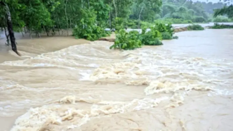 উত্তরাঞ্চলে বন্যার শঙ্কা, বাড়তে পারে নদীর পানি; জাকার্তা বায়ুদূষণে শীর্ষে, ঢাকা কোথায়?