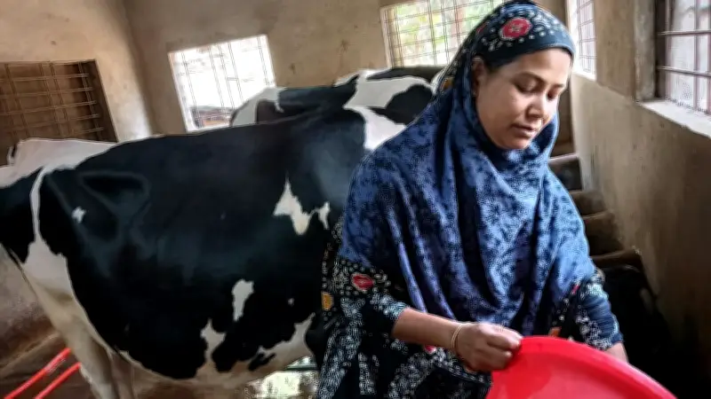 দারিদ্র্য জয় করে সফল উদ্যোক্তা কাজলী বেগমের গল্প