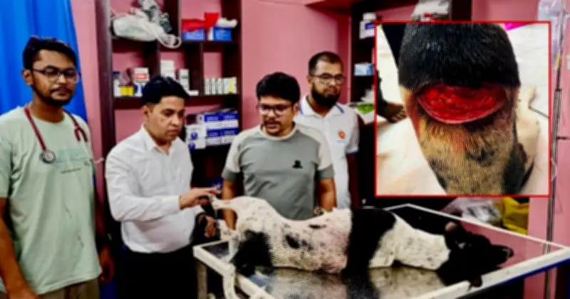 পথকুকুর জখমের অভিযোগে ফার্নিচার ব্যবসায়ী গ্রেপ্তার