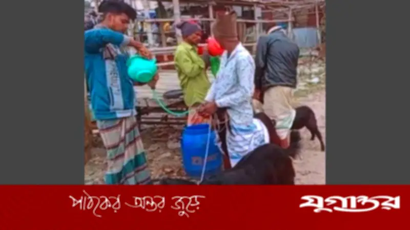 ছাগলকে মোটাতাজা করতে গলায় নল দিয়ে পানি খাওয়ানোয় মৃত্যু, আটক ২