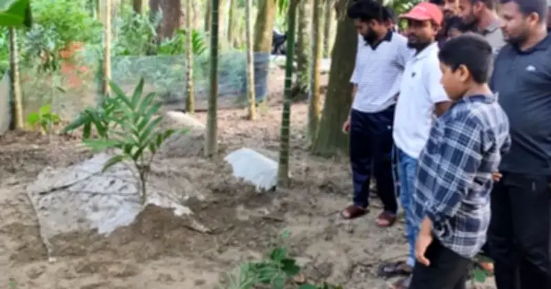 ভোলায় দাফনের ১৮ দিন পর কবর খুঁড়ে সত্যতা যাচাই, মিলল না গুজবের প্রমাণ