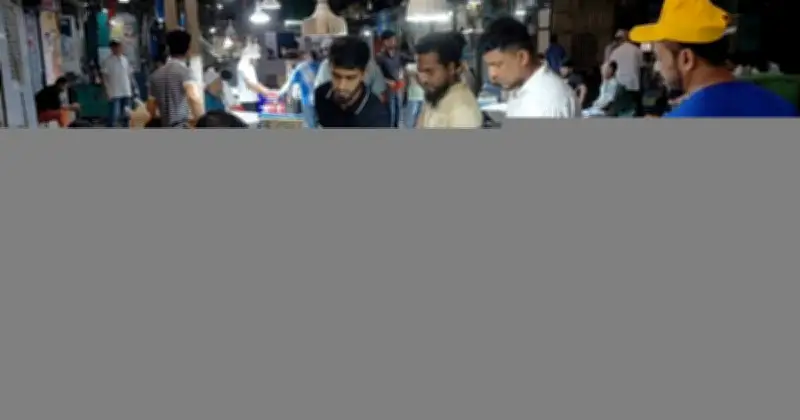 চাঁদপুরে ইলিশের দাম চড়া, সরবরাহ কম, জেলেরা ক্ষতিগ্রস্ত