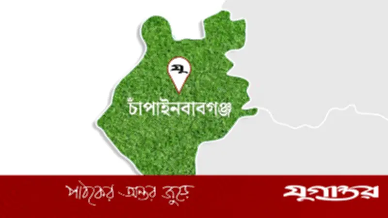 গোমস্তাপুর সীমান্তে ভারতীয় নাগরিক আটক, গুপ্তচরবৃত্তির অভিযোগ বিজিবির