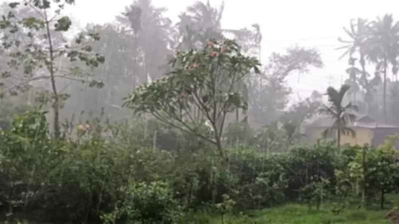 ইরানে মার্কিন হামলা অব্যাহত, ভেনেজুয়েলায় ভূমিকম্প: বিচ্ছেদ ঘটালেন আলোচিত চিকিৎসক দম্পতি