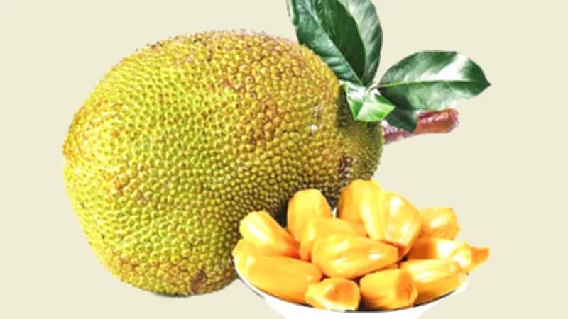 কাঁঠাল: বাংলাদেশের জাতীয় ফলের পুষ্টি, অর্থনীতি ও সাংস্কৃতিক গুরুত্ব