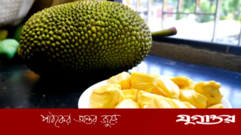 পুষ্টিগুণে ভরপুর কাঁঠাল: স্বাস্থ্য উপকারিতা ও সতর্কতা