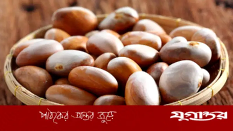 কাঁঠালের বীজে লুকানো পুষ্টিগুণ: স্বাস্থ্যের জন্য অমূল্য