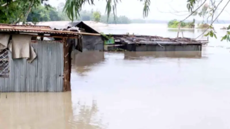 কুড়িগ্রামে বাঁধ ভেঙে ২০ গ্রাম প্লাবিত, পানিবন্দি হাজারো মানুষ