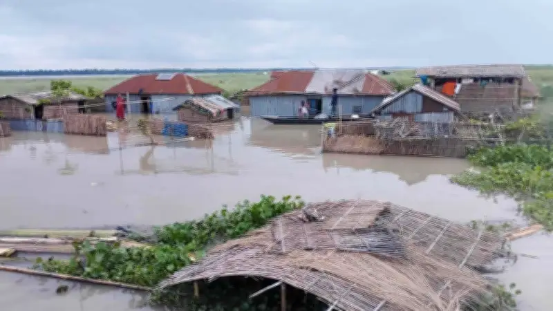কুড়িগ্রামে পানিবন্দি ১০ হাজার, নড়াইলে পিটিয়ে আহত, বিশ্বকাপে নেদারল্যান্ডস বিদায়