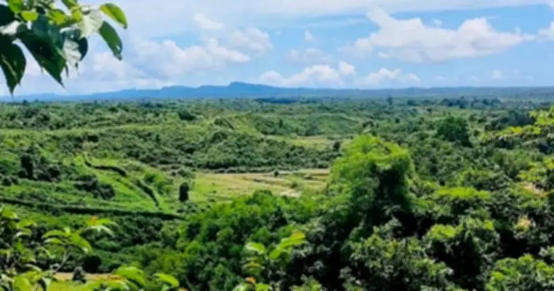 বান্দরবানে আবারও মাইন বিস্ফোরণ, এক ব্যক্তি গুরুতর আহত