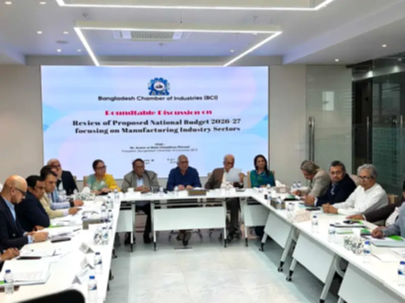 বড় বাজেট বাস্তবায়নে ঋণ নিলে বেসরকারি খাত সংকটে পড়তে পারে