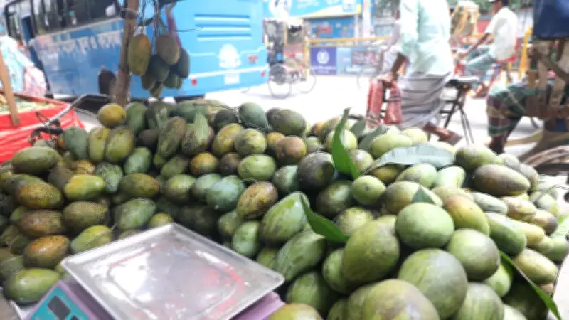 বগুড়ায় আমের বাজার জমজমাট, দামে নাভিশ্বাস ক্রেতাদের